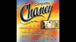 Estas Segura  Conjunto Chaney [upl. by Medorra]