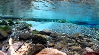 Lake tarawera  hot water beach track [upl. by Adnovoj]