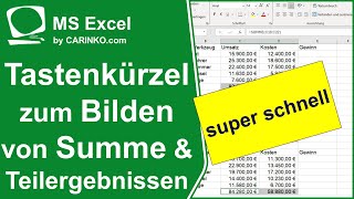 In Excel ganz schnell Summen und Teilergebnisse bilden mit Tastenkombinationen  carinkocom [upl. by Borras]