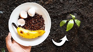 How to Use Eggshells Banana Peels and Coffee Grounds in the Garden [upl. by Allsopp]