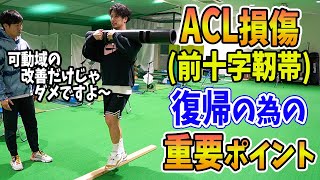 【ACL損傷】大怪我から復帰する為に必要なリハビリトレーニング [upl. by Gerhan]