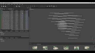 Drone data image processing in AgiSoft Metashape [upl. by Seavir178]