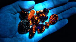 THIS is why Michigan Rock Hunting at NIGHT is so Incredible UV Light Reveals Secrets in the Stones [upl. by Aiken712]