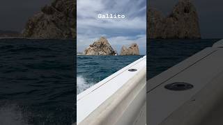 Fishing Cabo San Lucas for rooster fish roosterfish cabo arch fishing mexico [upl. by Lrae175]