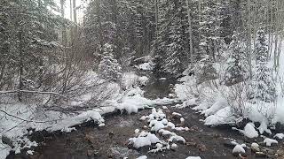 Snowy River on a Winters Eve  Part 2 [upl. by Esiuole]