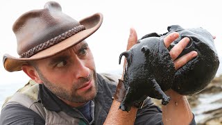 Giant Black Sea Creature Caught [upl. by Ahern971]