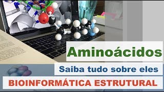 AMINOÁCIDOS Quais são Quais suas características Vídeo essencial BIOINFORMÁTICA ESTRUTURAL [upl. by Nayk]