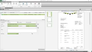 DATAflor Digitaler Posteingang DPE 3 Workflow Rechnungseingang [upl. by Edahsalof]