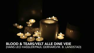 Velt alle dine veie Blood and Tears [upl. by Entroc]