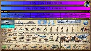 Las Eras Geológicas 5 La Era Cenozoica [upl. by Hurd]