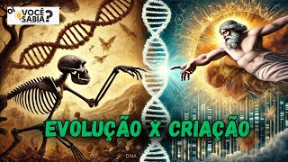 Evolução vs Criação Quem Está Certo [upl. by Ellerihs]