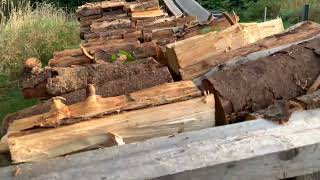 Softwood all stacked Woo Hoo firewood softwood hardwood [upl. by Hal]