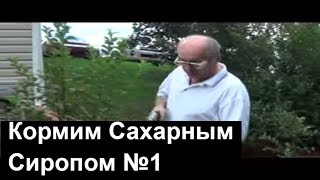 Пасека  1 Кормление сахарным сиропомWater Syrup Feeder For Bees P 14 English subtitles [upl. by Brom897]