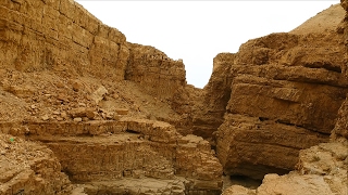 Judaean and Arava Desert Israel [upl. by Lamaj]