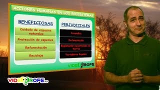 09 Tipos de ecosistemas 5º Conocimiento del Medio Videoprofenet [upl. by Mona]