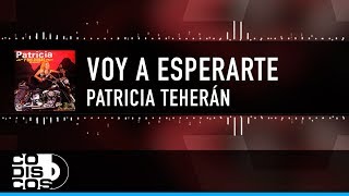 Voy A Esperarte Patricia Teherán Vídeo Letra [upl. by Atnauqahs218]