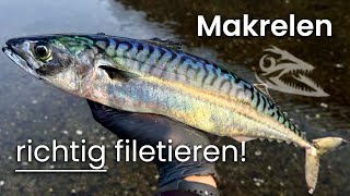 MAKRELEN richtig filetieren und zubereiten  Catch amp Cook [upl. by Barret461]