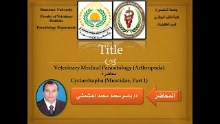 5 Cyclorrhapha quotMuscidae part 1quot Dr Bassem Elmishmishy [upl. by Tien851]