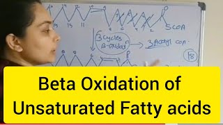 Beta oxidation of unsaturated Fatty Acids Monounsaturated fatty acid [upl. by Cailly]