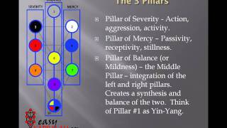 Tree of Life Basics [upl. by Izy713]