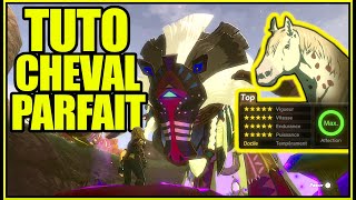 AstuceTUTO  Avoir le cheval parfait  Zelda Tears of the kingdom [upl. by Crissie]