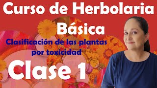 Curso de Herbolaria básica gratuito  clase 1  Toxicidad de las plantas [upl. by Fabiano]