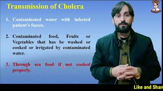 Cholera Infection  Causes  Transmission  Symptoms  Diagnosis  Treatment [upl. by Hadley]