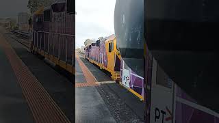 The 205pm Warrnambool service arriving into North Geelong station on 31082024 🚉 [upl. by Caritta13]