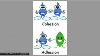 Properties of Water  Cohesion Adhesion High Specific Heat [upl. by Aisinut704]