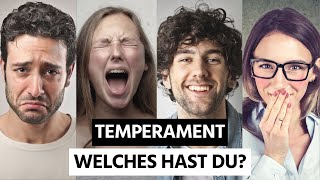 Die 4 Temperamentstypen  Welches Temperament hast du [upl. by Ratha]