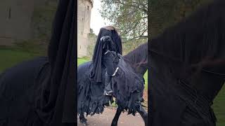 I Found The Headless Horseman From Roblox [upl. by Gine]