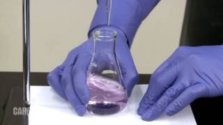 Setting up and Performing a Titration [upl. by Luo]