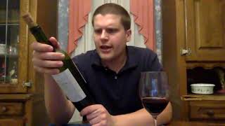 Wine Review Thanksgiving review Mascota Vineyards La Mascota Malbec and Juve amp Camps Cava Brut [upl. by Tenej]