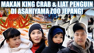 DANTE amp NASTUSHA LIAT PENGUIN amp HIPPO DI ASAHIYAMA ZOO JEPANG❗ [upl. by Aicilla]