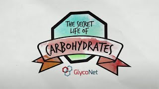 The Secret Life of Carbohydrates [upl. by Daisey]