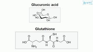 xenobiotic metabolism [upl. by Angelica80]