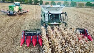 Claas Lexion 7500  Krone BIG M 450 bei der Maisernte 2023Corn Harvest 23 [upl. by Ertnom]