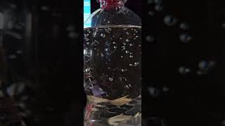 Пузырьки водыWater bubbles shrots bubble water drink mineralwater food drinks waterbubbles [upl. by Kelley]