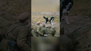 Los soldados entrenan a los perros como guerreros de demoliciónshorts short [upl. by Lanuk]