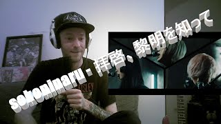 Harmonic noise sokoninaru  拝啓、黎明を知って FIRST time REACTION [upl. by Hobard]