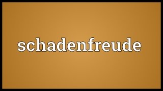 Schadenfreude Meaning [upl. by Euqinor]