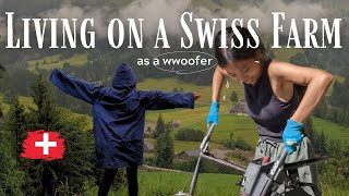 ใช้ชีวิต 6 วันในฟาร์มบนเทือกเขาแอลป์ 🇨🇭WWOOFing in Switzerland Guide amp VLOG [upl. by Cher]