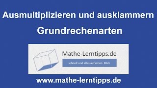 Das Verteilungsgesetz ausmultiplizieren und ausklammern [upl. by Entruoc]