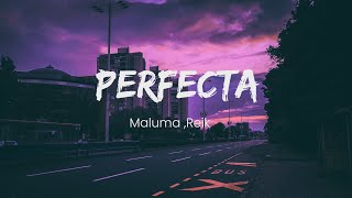 Reik MalumaPerfectaLetra [upl. by Sioux541]