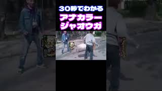 【デュエマ環境デッキ】ネットミームでわかるアナカラージャオウガデュエマ [upl. by Nossaj259]