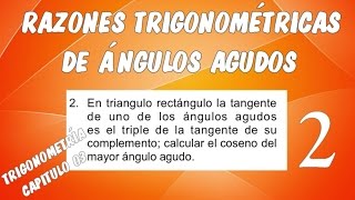 RAZONES TRIGONOMÉTRICAS DE ÁNGULOS AGUDOS I  TRIGONOMETRÍA CAPÍTULO 03 EJERCICIO 02 [upl. by Natalina]