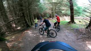 SCOTLAND THORNIELEE WOODS MTB TRAILS  4K [upl. by Hobard]