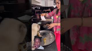 Cat on the counter while cooking 🙄 foryou shorts goviral shortvideo [upl. by Aleina]