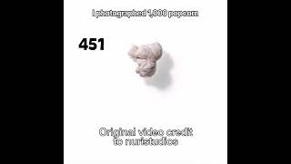 I interpolated 1000 popcorn photos [upl. by Higinbotham427]