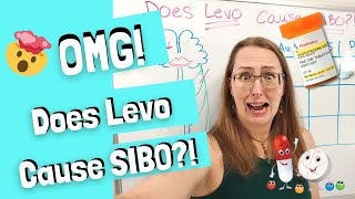 Does Levothyroxine Cause SIBO [upl. by Alyled285]